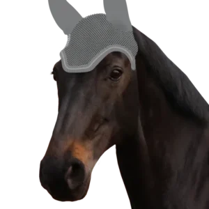 Fliegenohr