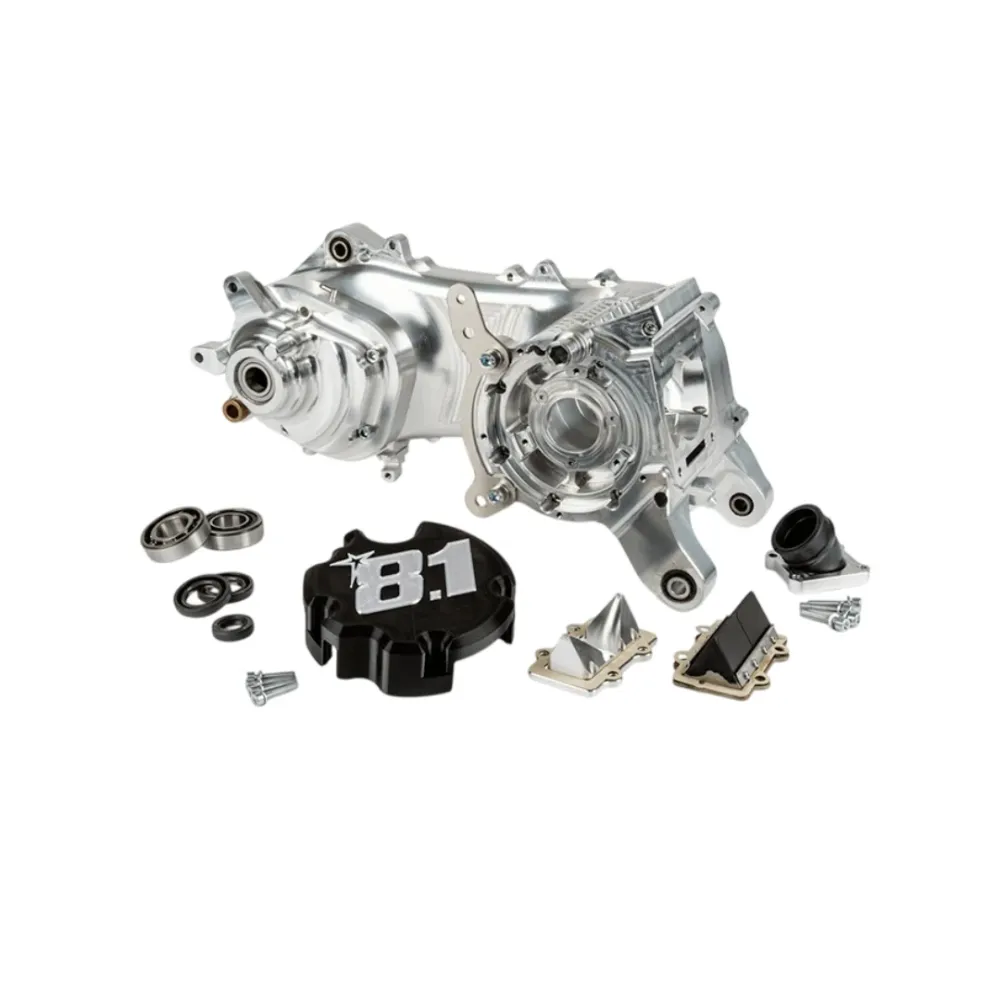 Komplett Long Motor Carter 8.1 Fireblade 100cc 10/12/13 Zoll Wiel Piaggio 2 Strich