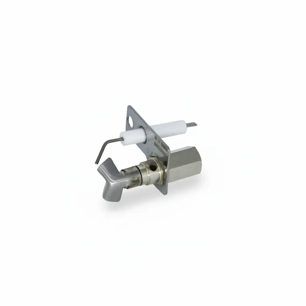 ELECTRODE ASSY