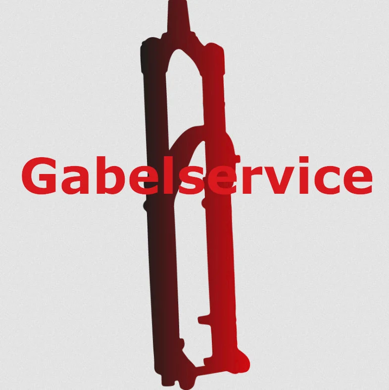 FOX 36 Federgabelservice